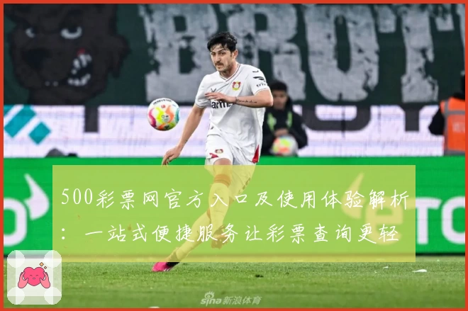500彩票网官方入口及使用体验解析：一站式便捷服务让彩票查询更轻松