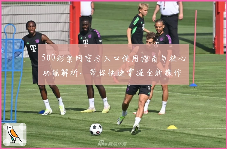 500彩票网官方入口使用指南与核心功能解析,带你快速掌握全新操作体验